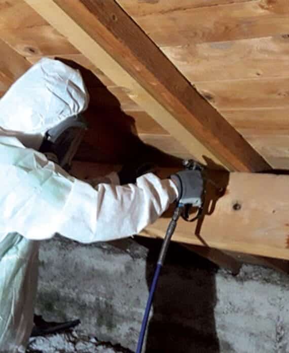 Traitement professionnel des bois de charpente contre les parasites